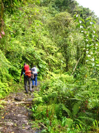 Choro Inca Trail
