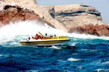Motorboat ride to Ballestas Island in Ica, Peru near Lima.