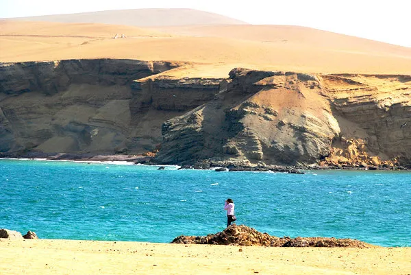 Paracas Reserve and Ballestas Islands