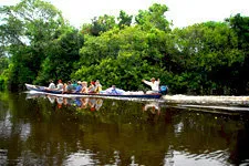 Boat ride through the Amazon jungle in Bolivia near Rurrenab