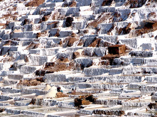 Half-Day Maras Moray
