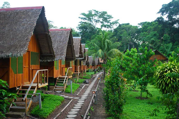 Jungla Espectacular