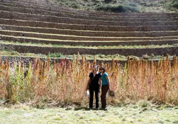 Inca World Travel