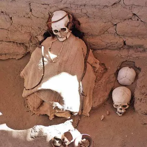 Cover photo. Mummy bundle in Chauchillas Cemetery, Nazca, Pe