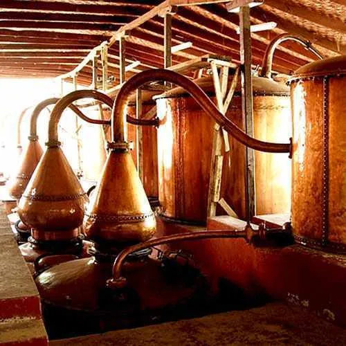 Cover Photo. Distilling Pisco in traditional vineyard in Ica