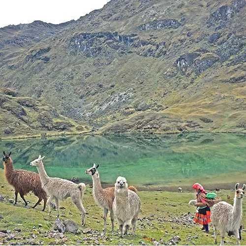 Cover photo. High-andean lake along the Lares trek to Machu 