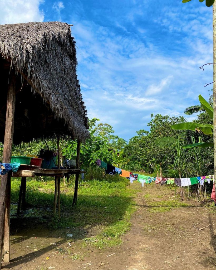  la selva exótica