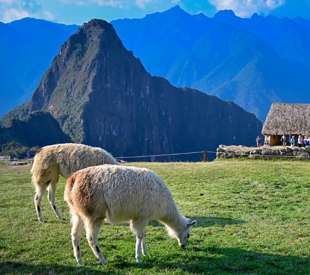 Razones por las que no debes cancelar tu viaje a Peru por Coronavirus