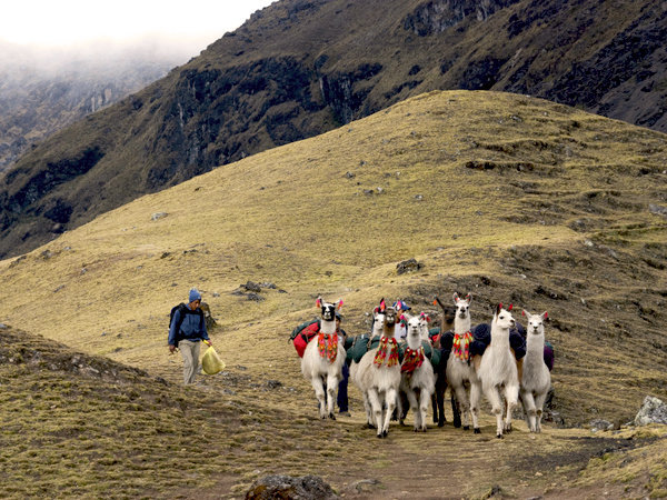 Caminata Lares Machu Picchu